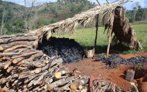 Escândalo do carvão ilegal: Vale suspende embarques de ferro-gusa da SiDEPAR carva vegetal
